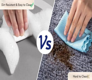 Quick Drying Water Soak bathroom Mat & Water Absorbent Door Mat(pack of 2)